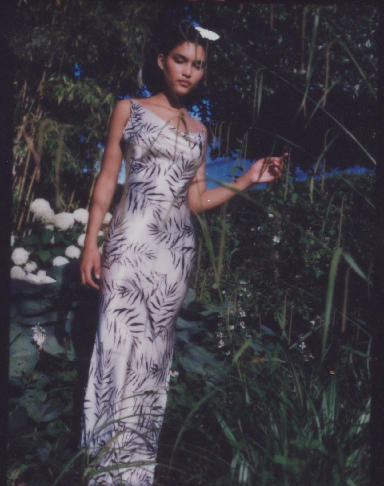 AVA Dress